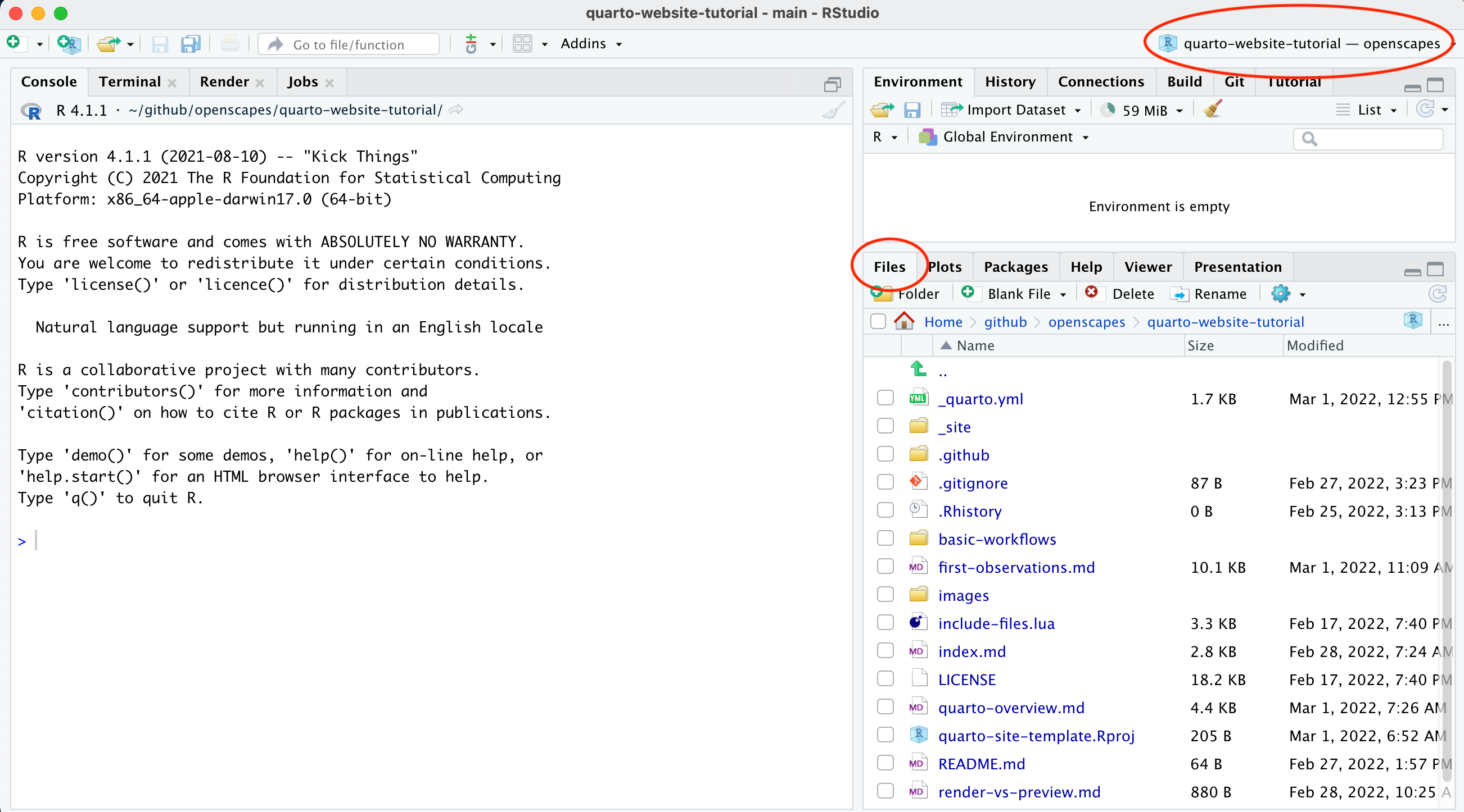 Screenshot of the RStudio IDE highlighting the project name and files pane